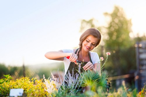 Gardener trimming a hedge near a residential boundary