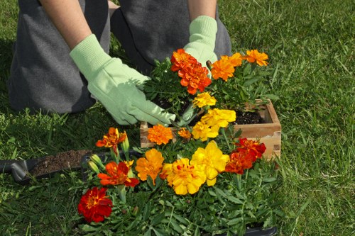 A gardener wearing light green gardening gloves is planting or potting vibrant orange, yellow, and red flowers into a small wooden container placed on a well-maintained grassy lawn. The surrounding area features lush, green grass with no visible paving or other garden structures. The gardener's hands are carefully handling the flowers, and the scene suggests outdoor gardening activity in a residential garden, possibly in Chigwell, with natural daylight illuminating the scene. The presence of healthy, colorful flowers and neat grass indicates ongoing garden maintenance typical of professional gardening services such as hedge trimming or floral planting, aimed at enhancing outdoor curb appeal. The background remains simple with no additional garden elements visible, focusing entirely on the planting process at ground level.