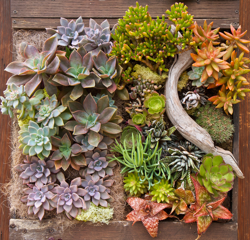 patio design outdoor space